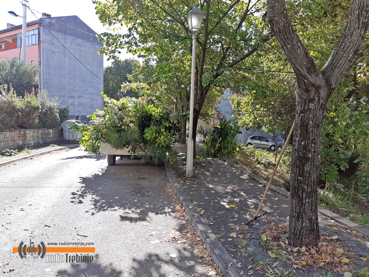 Информација: Јесења акција чишћења и уређења града почиње сутра