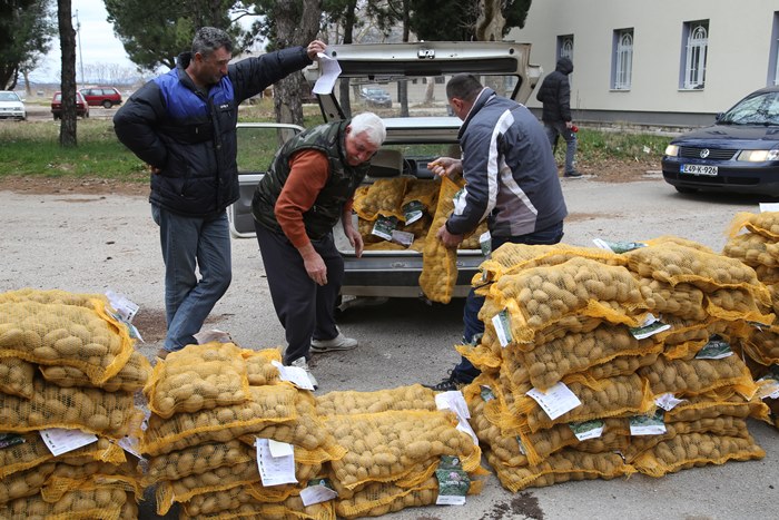 До петка можете да се пријавите за бесплатан садни материјал