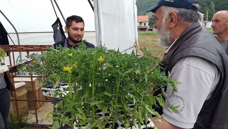 Аграрни фонд подијелио расад требињским пољопривредницима