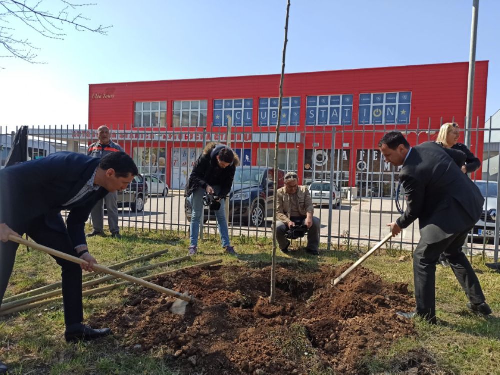 Почела реализација пројекта „1.000 платана за љепше Требиње“