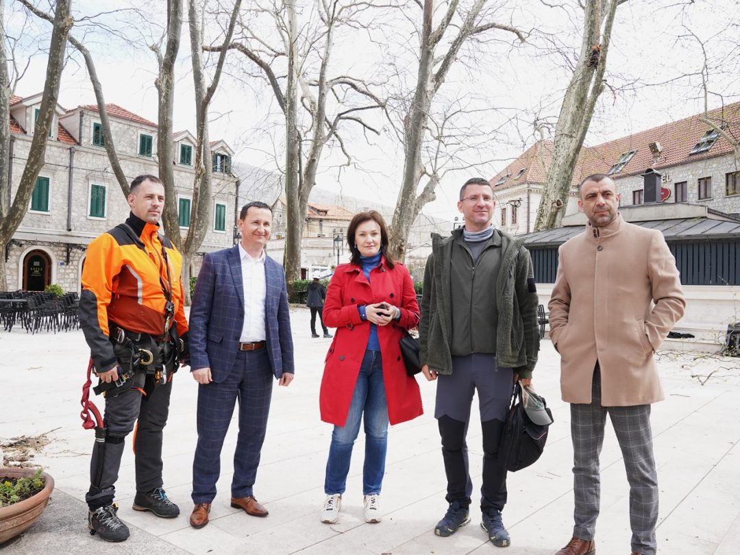 Градоначелник обишао стручни тим који проводи контролу платана
