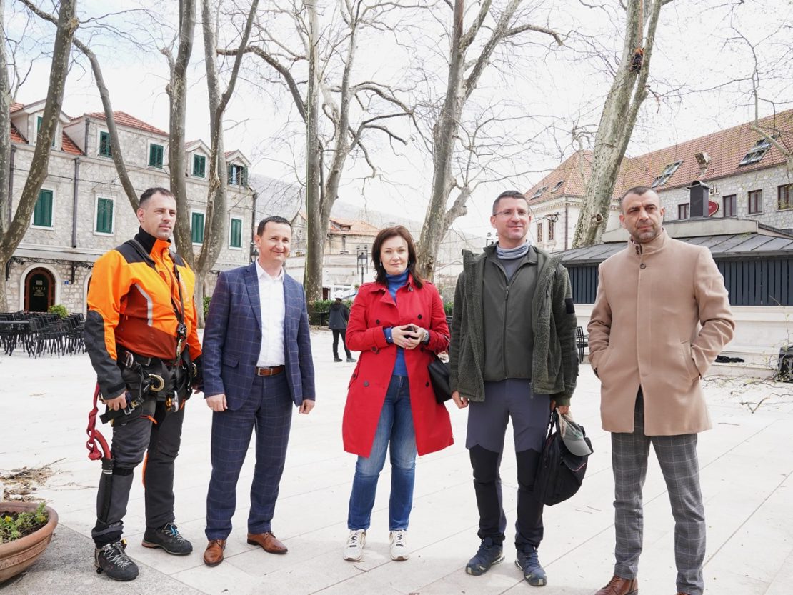 Градоначелник обишао стручни тим који проводи контролу платана